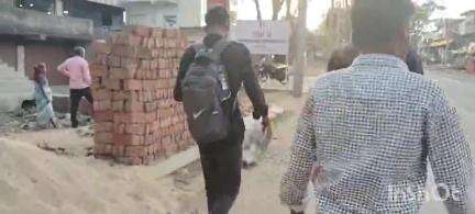 मनिका: ग्रामीण बैंक के पास अज्ञात वाहन की टक्कर से गाय की मौत