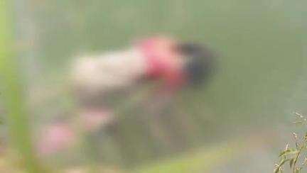 চাবুৱা: চাবুৱাত পুখুৰীত উপঙি থকা অৱস্থাত অচিনাক্ত মহিলাৰ এটা মৃতদেহ উদ্ধাৰকলৈ সৃষ্টি হৈছে তীব্ৰ চাঞ্চল‍্যৰ