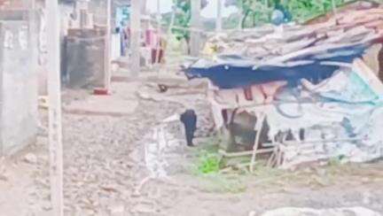 ताल: थम गुराडिया में ससुराल आने की बात पर महिला से मारपीट, पुलिस ने दर्ज किया मामला