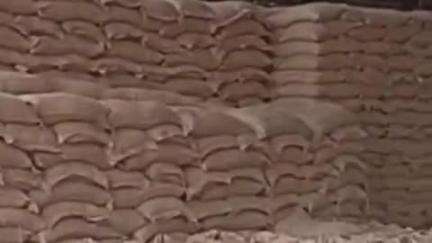 गुरुग्राम: सोहना मंडी में गेहूँ का उठान धीमा, 39 हजार क्विंटल फसल बिकी, 72 घंटे बाद भी भुगतान नहीं मिला