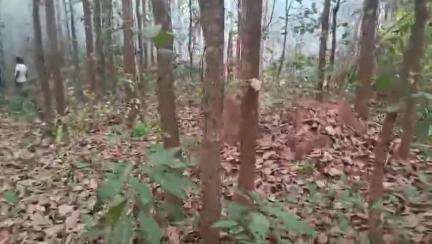 গড়বেতা ১: আগুনে পুড়লো কয়েক লক্ষ প্রাণ, মৃত্যুর মিছিল গড়বেতায়