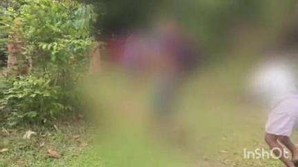 കോതമംഗലം: വടാട്ടുപാറ പലവൻ പടിയിൽ പുഴയിൽ രണ്ടുപേർ മുങ്ങി മരിച്ചു