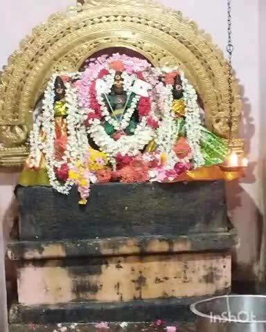 ஜாம்பவானோடை வடகாடு பாலசுப்பிரமணியருக்கு கார்த்திகையை ஒட்டி சிறப்பு அபிஷேகம்