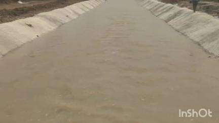 टिमरनी: मूंग की सिंचाई के लिए नहरों से मिल रहा है भरपूर पानी