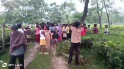 ফালাকাটা: রবিবার সাতসকালে ফালাকাটা ব্লকের দলগাঁও চা বাগানে দলমুনি ডিভিশনে বনদপ্তরের পাতা খাঁচায় ধরা পড়ে একটি চিতাবাঘ