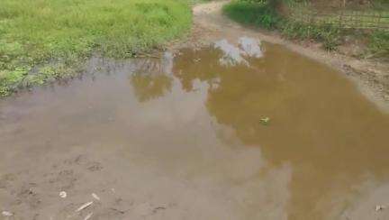 মাৰ্ঘেৰিটা: জৰাজীৰ্ণ বাট-পথে জীয়াতু ভোগাইছে মাৰ্ঘেৰিটা অমৃত গাঁৱৰ তিনিশ পৰিয়ালক, চৰকাৰৰ বিৰুদ্ধে স্থানীয় ৰাইজৰ ক্ষোভ #jansamasya