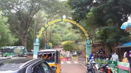 ஆத்தூர்: கல்வராயன் மலை பகுதி ஆணைவாரி நீர்வீழ்ச்சியில் குவியும் சுற்றுலாப் பயணிகள் - வனத்துறையினர் தீவிர பாதுகாப்பு பணி