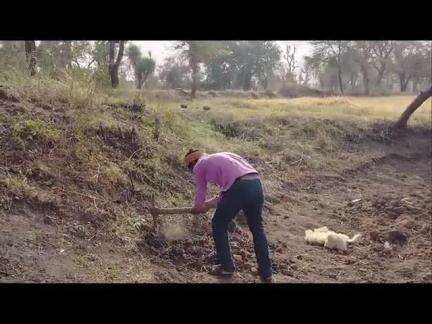 टीकमगढ़ जिले में पलायन रुकने से ग्रामीणों को अपने गांव मे ही काम मिल रहा है क्या कुछ कहा मालपीथा के मजदूरो नेआप भी सुनिए