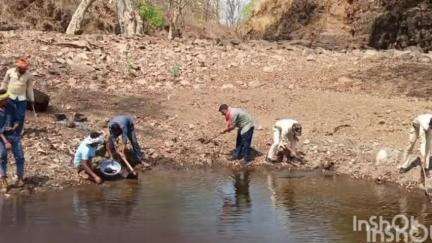 टिमरनी: 'जल गंगा संवर्धन अभियान' के तहत वन्य प्राणियों के लिए झिरिया निर्माण का कार्य हुआ