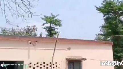 चौसा: चौसा थाना पुलिस ने मारपीट और गोली चलाने के मामले में दो आरोपियों को गिरफ्तार किया, जेल भेजा