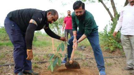 महाबळेश्वर: राजकारणातील प्रयोगशील नेतृत्व असलेल्या उपमुख्यमंत्री एकनाथ शिंदे यांनी आपल्या शेतीत केली परदेशी आवाकाडो फळाची लागवड