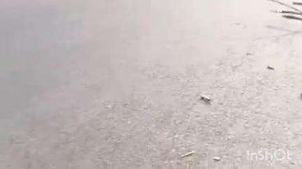 करेरा: थनरा चौकी के सामने NH-27 पर ट्रक की टक्कर से क्षतिग्रस्त हुई बैलगाड़ी