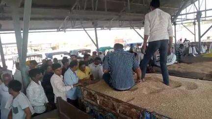 सुसनेर: मंडी में गेहूं की आवक हुई सबसे ज़्यादा, धान्य और मसूर के दामों में तेज़ी
