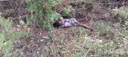 पड़वा: गाड़ी खास दुर्गावती नदी रेलवे पुल के समीप ट्रेन की चपेट में आने से महिला की मौत, पुलिस ने शव को पोस्टमार्टम के लिए भेजा