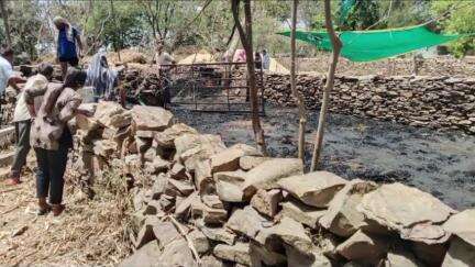 मनासा: कंजार्डा में चारे के बाड़े में लगी आग पर फायर बिग्रेड ने पाया काबू, पलासिया के जंगल में भी आग लगी