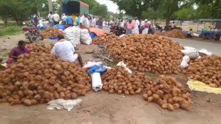 காரியமங்கலம்: தேங்காய் வாரச் சந்தையில் ₹23 லட்சத்திற்கு தேங்காய்கள் விற்பனையானது