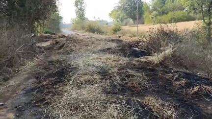 नईगढ़ी: नईगढ़ी थाना क्षेत्र के मौहरिया गांव में गेहूं की फसल में लगी आग, फसल जलकर राख हो गई