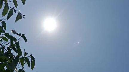 ଦିଗପହଣ୍ଡି: #jansamasya ପ୍ରବଳ ଗ୍ରୀଷ୍ମ ପ୍ରବାହ ହେତୁ ଦିଗପହଣ୍ଡି ଅଂଚଳରେ ନଦୀ ଗାଡିଆ ସୁଖିଲା । ପନି ପରିବା ଫସଲ ପ୍ରଭାବିତ । ଚାଷୀ ରଖିଲେ ନିଜର ମତାମତ