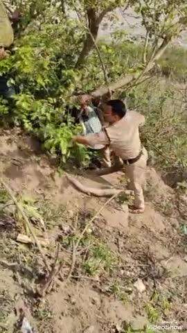 सतपुली: NH-534 सतपुली पौड़ी रोड पर डिवाइडर से टकराकर पलटकर गाड़ी खाई में लटकी, चालक को अस्पताल में कराया गया भर्ती
