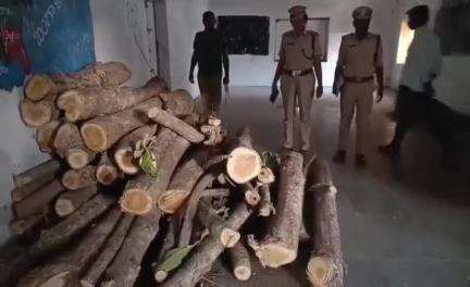 ఎల్లారెడ్డి: ఎల్లారెడ్డి ఎస్సీ మహిళా హాస్టల్ పరిధిలోని టేకు చెట్ల నరికివేతపై ఎంక్వైరి చెపట్టిన అదికారులు
