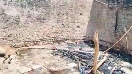 उनियारा: खातियों के मोहल्ले में एक मकान में आग लगने से घरेलू सामान जला, मवेशी भी झुलसे
