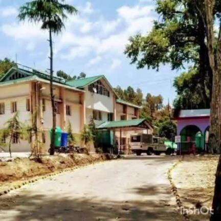रिवालसर: आवारा कुत्ते के हमले से नवविवाहिता पुल के ढंगे से नीचे गिरी, सिर में चोट आने से हालत गंभीर