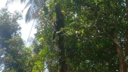 തിരൂര്‍: പുറത്തൂരിൽ മരം വെട്ടുന്നതിനിടെ ബോധരഹിതനായി താഴേക്ക് മറിഞ്ഞയാളെ അഗ്നിരക്ഷാ സേന രക്ഷപ്പെടുത്തി