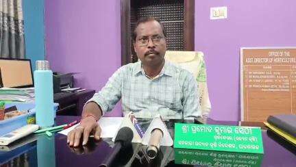 ପାଟଣାଗଡ: କ୍ଷୟକ୍ଷତି ଆକଳନ ନେଇ କାର୍ଯ୍ୟାଳୟରେ ପ୍ରତିକ୍ରିୟା ରଖିଲେ ସ୍ଥାନୀୟ ସହକାରୀ ଉଦ୍ୟାନ କୃଷି ନିର୍ଦ୍ଦେଶକ