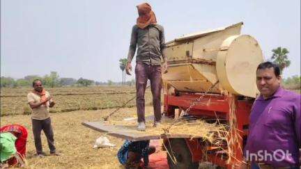 काको: बसंतपुर हड़हड़ गांव में गेहूं की पहली फसल कटनी प्रयोग का किया गया निरीक्षण, सांख्यिकी पदाधिकारी रहे मौजूद