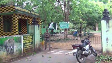 நாங்குநேரி: வரும் 24ஆம் தேதி முதல் திருக்குறுங்குடி நம்பி கோவில் செல்ல வனத்துறை தடை