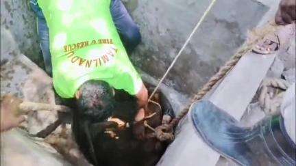 திருவாடனை: தொண்டியில் தொட்டிக்குள் விழுந்த பசுமாட்டினை பத்திரமாக மீட்ட தீயணைப்பு வீரர்கள்