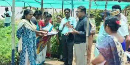 பாபநாசம்: உமையாள்புரம் ஊராட்சியில் நர்சரி அமைக்கப்படுவதை கலெக்டர் நேரில் பார்வையிட்டு ஆய்வு
