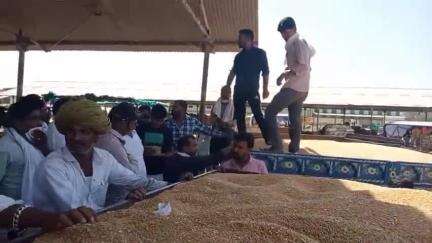 सुसनेर: मंडी में फसलों के भाव में उतार-चढ़ाव, किसानों को सलाह दी गई