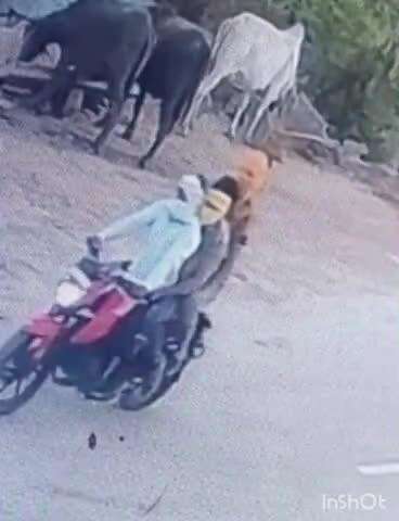 तानसेन: तिघरा में शादी से लौट रहे परिवार से बन्दूक की नोंक पर बदमाशों ने की लूट