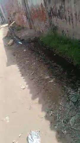 बिचपुरीभुर गन्नौर तहसील थाना धनारी जिला संभल