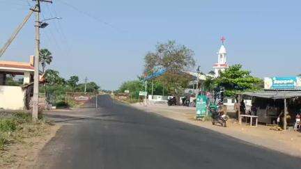 சாத்தான்குளம்: சங்கரன்குடியிருப்பு பகுதியில் சாலையோரத்தில் கிடந்த நட்சத்திர ஆமையை வனத்துறையினரிடம் ஒப்படைத்த மக்கள்