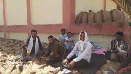 सागर: जिले के 173 उपार्जन केंद्रों पर 22,000 से अधिक किसानों ने किया उपार्जन, ₹187 करोड़ 7 लाख 25 हजार 834 का भुगतान हुआ