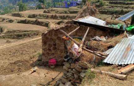 गुमदेश: मानाढुंगा में अंधड़ ने मचाई तबाही गौशाला की उड़ी छत जान बचाकर भागे ग्रामीण।