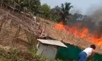 ময়না: নৈছনপুর গ্রামের পানের বরজ ভয়াবহ আগুনে ভস্মীভূত,৫ লক্ষাধিক টাকা ক্ষতি,আহত ১