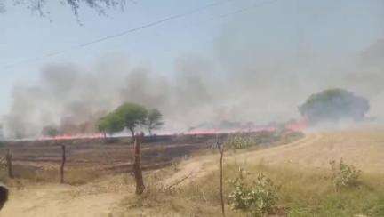 लहार: ग्राम जमुहा में खेतों में लगी आग, किसानों को हुआ नुकसान