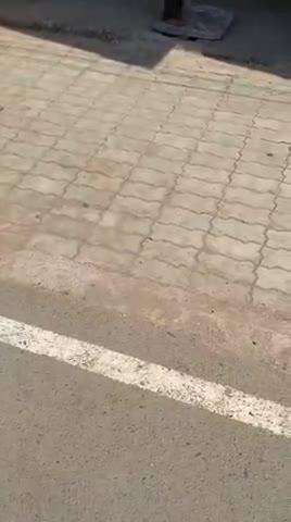 Amarwada Me Dindahade kunda-gardi ka najara Be khop h Aropi