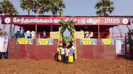 சேந்தமங்கலம்: பச்சுடையான்பட்டியில் சேந்தமங்கலம் ஜல்லிக்கட்டு விழா குழு சார்பில் ஜல்லிக்கட்டு போட்டி தொடங்கி நடைபெற்று வருகிறது
