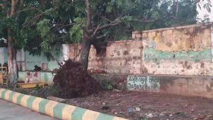 ಹುನಗುಂದ: ಪಟ್ಟಣದಲ್ಲಿ ಸುರಿದ ಬಿರುಗಾಳಿ ಸಹಿತ ಮಳೆಗೆ ಧರೆಗುರುಳಿದ ಮರಗಳು, ಹಲವೆಡೆ ಹಾನಿ
