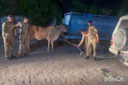 हरिद्वार: रतनपुर मार्ग पर मुस्तफाबाद मदरसे के पास गोकशी करते एक गिरफ्तार, तीन फरार, बहादराबाद पुलिस ने बरामद किया एक गोवंश