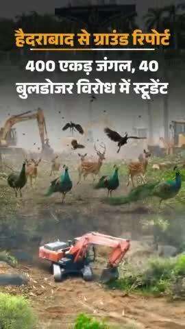 कहते हैं कि मोर राष्ट्रीय पंछी वो कितनी खतरा में है 🥺😱💖