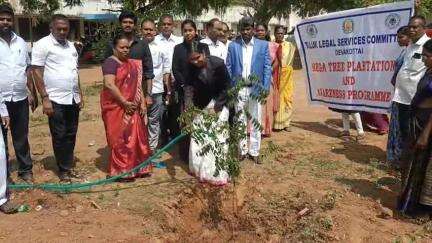 தேவகோட்டை: சார்பு நீதிமன்ற வளாகத்தில் காற்று மாசுபடுவதை தடுக்க மரக்கன்றுகள் நடும் விழா - நீதிபதிகள் பங்கேற்பு