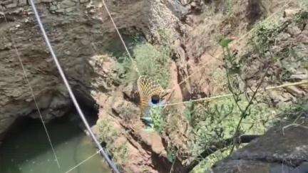 நிலக்கோட்டை: காமலாபுரம் அருகே தோட்டத்து கிணற்றில் தவறி விழுந்த நபரை உயிருடன் மீட்ட ஆத்தூர் தீயணைப்பு துறையினர்