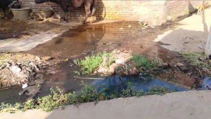 नासरीगंज: परसियां गांव में सड़क पर बहता है नाले का गंदा पानी, आक्रोशित ग्रामीणों ने समस्या के निवारण की मांग की #jansamasya