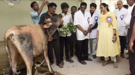 గుంటూరు: పశువుల ఆరోగ్యం ప్రజల ఆరోగ్యంతో అనుసంధానమై ఉంది: నగరంలో కలెక్టర్‌ ఎస్‌. నాగలక్ష్మి