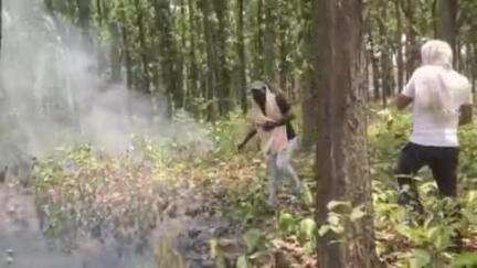 धालभूमगढ़: धालभूमगढ़ में पेट्रोल पंप के पीछे लगी आग, लोगों ने बुझाई